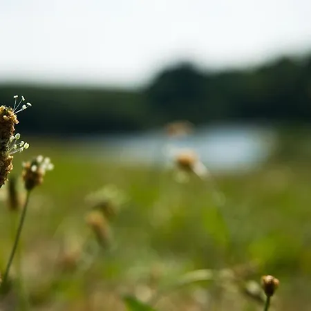 Nature Holiday's Domaine Du Pre - Officiel 4* La Chapelle-Hermier